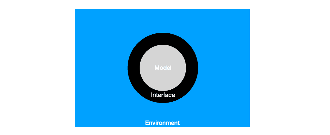 The model, the interface and the environment